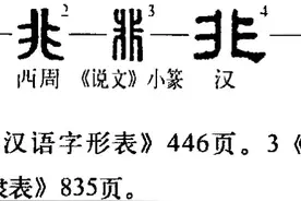 闲言说“非”图片