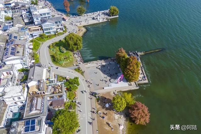 龙龛码头太有名,每天有很多人过来拍婚纱,但他们却不知道夫妻树