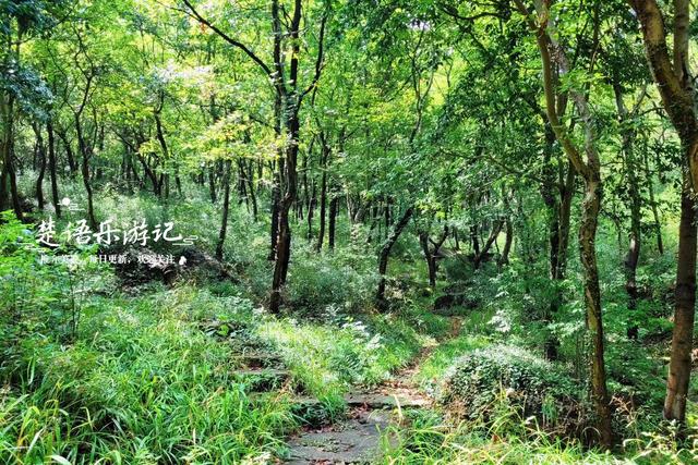 浙江宁波被人忽略景区村庄，岙里风景堪称绿野仙踪，非常值得游玩
