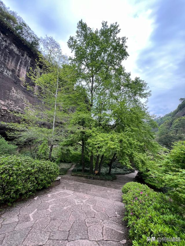武夷山，“一线天”不是什么人都能去的