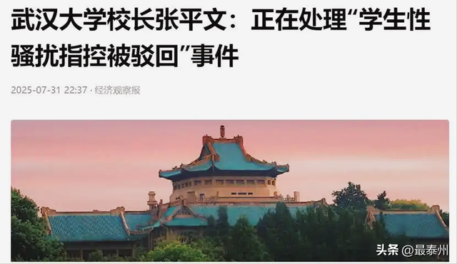 武大诬告案迎来好消息！校长亲自回应，知情人曝内幕，杨某恐坐牢