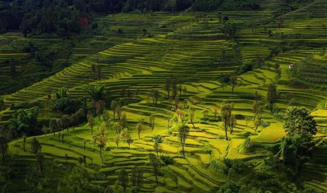 贵州这回真要起飞了！被国家 “点名”，即将代表中国走向世界！