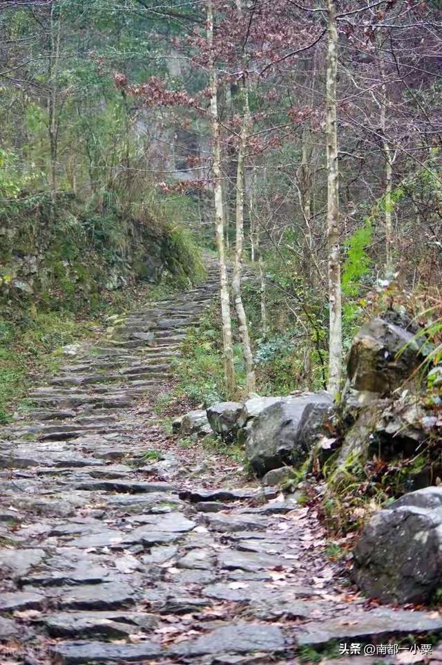 柞水四镇：秦岭古道里的千年风韵