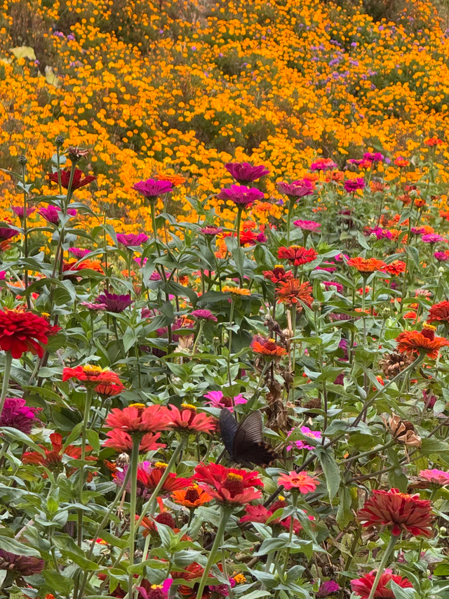 我是北京人	，在兴隆待了三天，这小地方的好我得说道说道	。