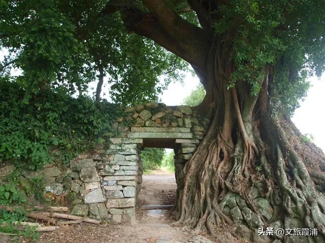 重磅!霞浦又有四处列入省级文物保护单位,山海古城再添文化金名片