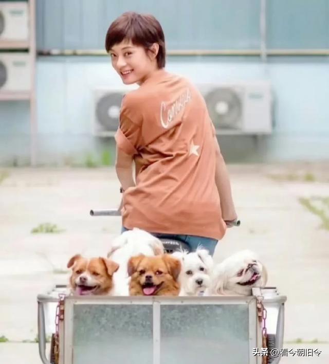 孙俪领养独眼猫，真的是人美心善的娘娘，猫咪遇到了爱它的神。