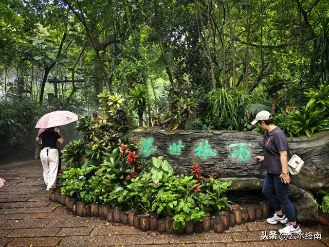 一个五A级植物园，到底藏着哪些值得看的地方，这是最实在的攻略