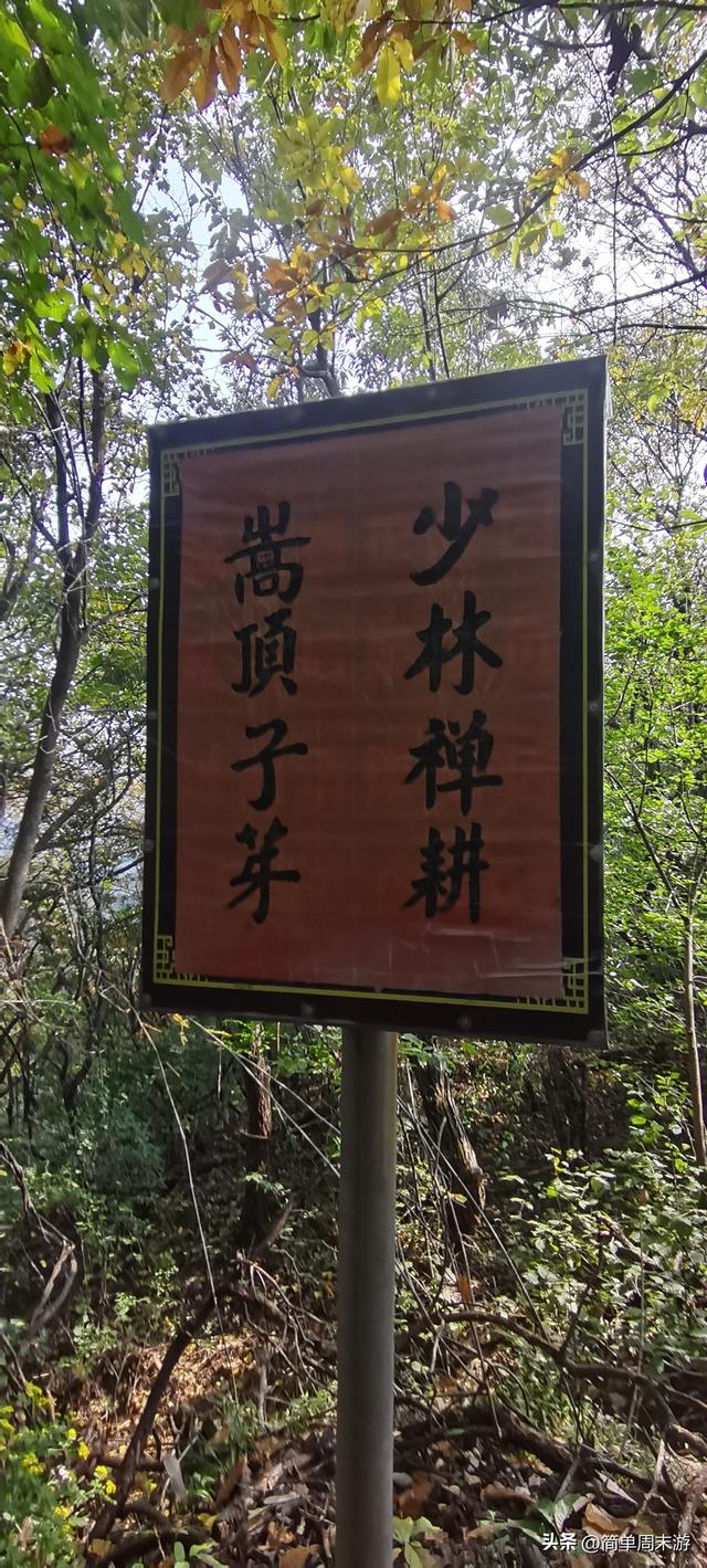 16）嵩山秋行记：27人踏秋赏红叶，从西山脊到古刹禅心