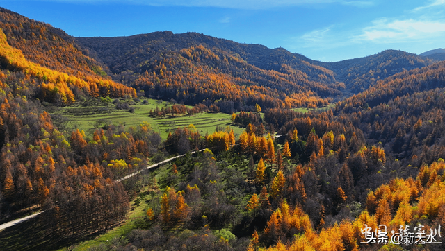 秋韵未歇：张家川山水的立冬回眸
