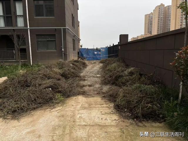 11岁男孩坠入小区通风井：烂尾楼“复活”后的悲剧