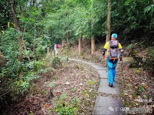 秋风起，浙江这条绝美海岛风光徒步穿越线路，可以安排了！