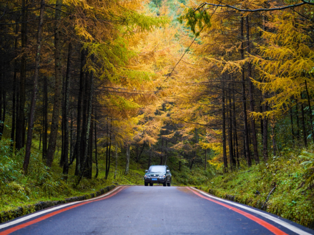 广元不远 周末优选 | 秋色短暂，曾家山赏秋路线来啦！