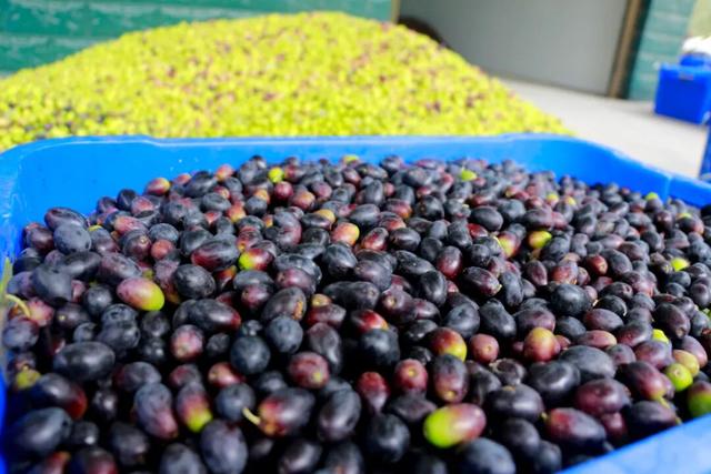 "咔嚓！"→文县