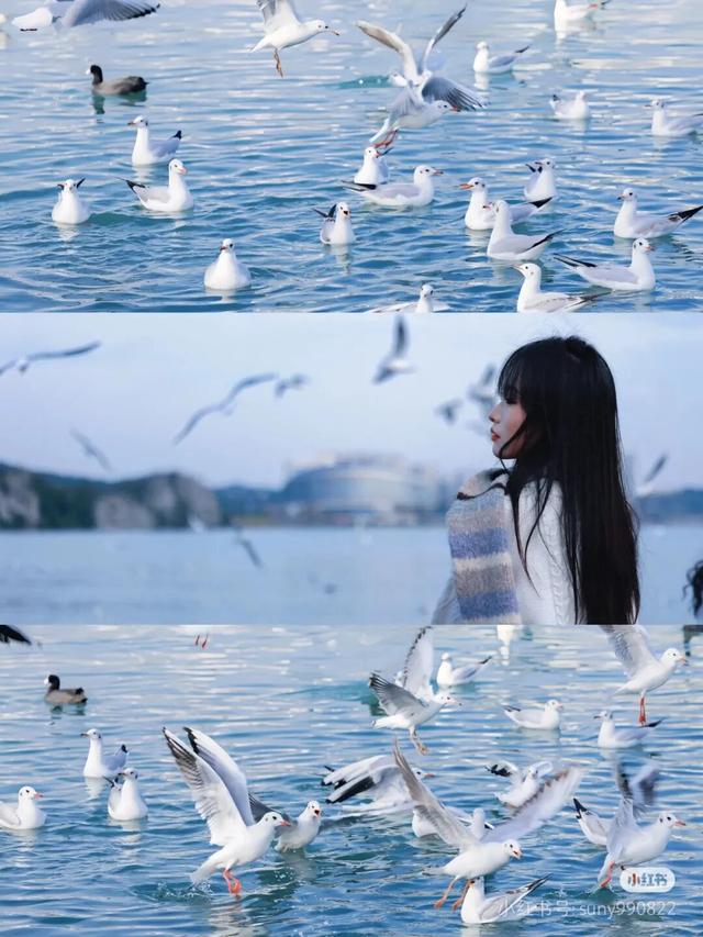 周末就冲！成都出发40min直达浪漫小城，喂海鸥逛古寺！