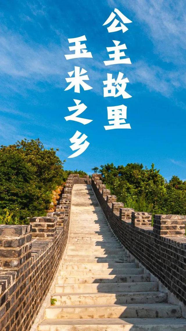 免费！旅游大巴就位！看完航空展开逛~