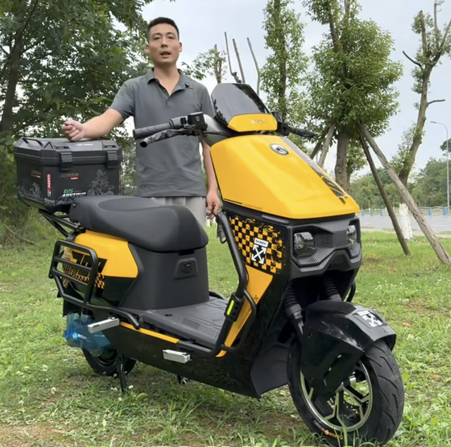 5000以内，续航top5电动车，最远能跑200KM，没有小牛，九号！
