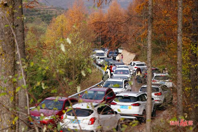 秦州区齐寿山：绚烂风光绘就生态与文化和美共生瑰丽画卷