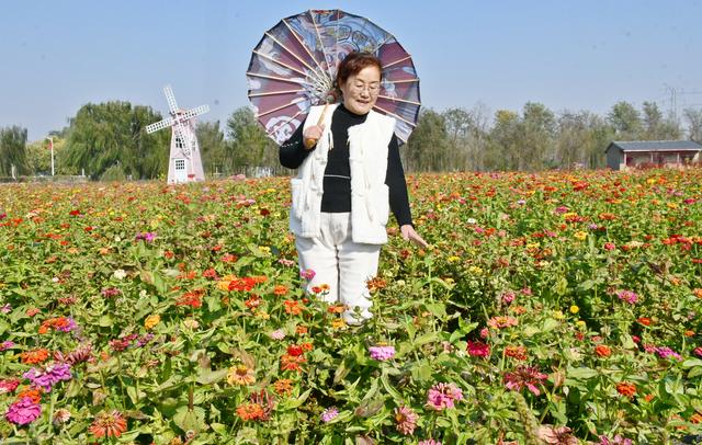 山东茌平杜郎口镇：深秋田园美景醉游人