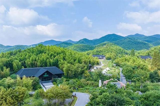 中德学子跨越山海的绿色对话：湄公河旅游旗下湖州长颈鹿庄园迎来德国霍恩林姆伯格高级文理中学师生到访