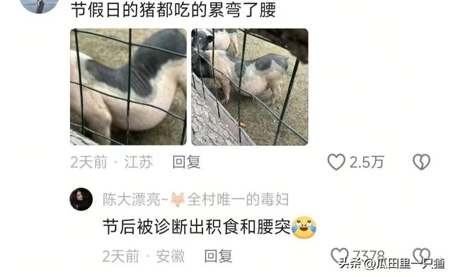 笑不活！国庆假期动物园的动物都吃yue了，网友:每逢佳节胖三斤