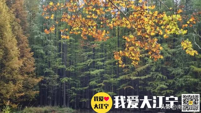 停滞近10年！江宁大型景区，复活有望！