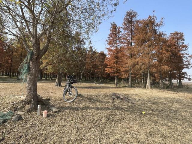 骑游来安半塔釜山水库池杉林生态园攻略