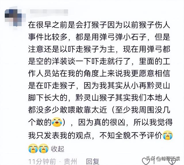后续！男子大骂景区大爷，身份被扒评论区沦陷，南京文旅意外躺枪