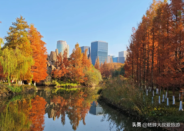 拥有王炸机位的浙江公园，其景“封神”，逛一圈，100％惬意！