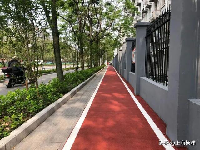 来杨浦“轧马路”！这条Citywalk路线藏不住了