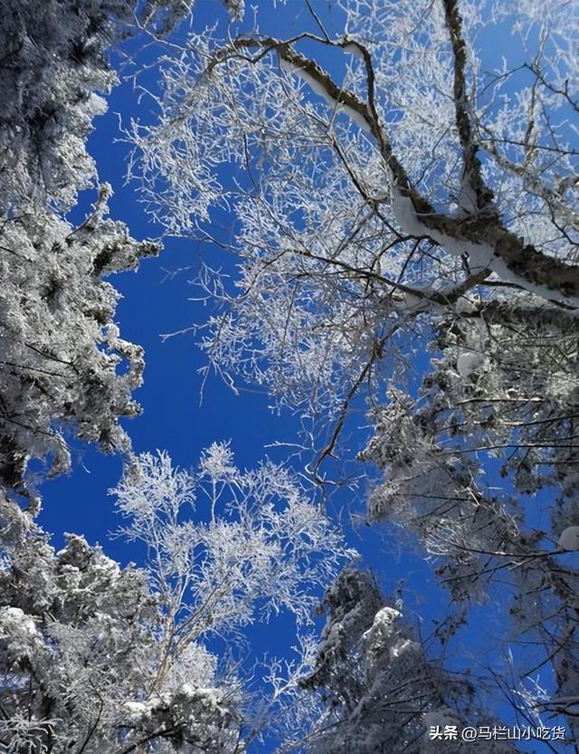 吉林老里克湖打卡攻略 | 走进现实版冰雪童话世界