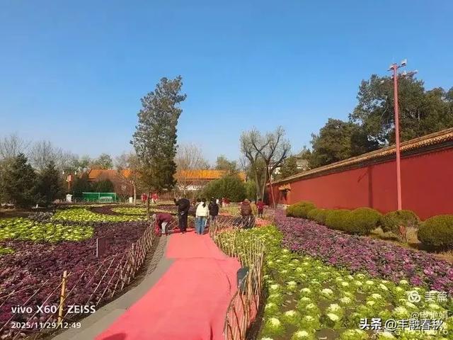 北京景山公园羽衣，冬园锦色｜申艳娟