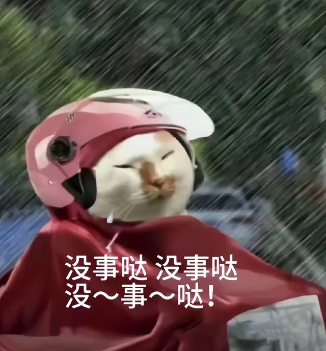 外卖大战再这么打下去，餐饮商家可能要崩溃了