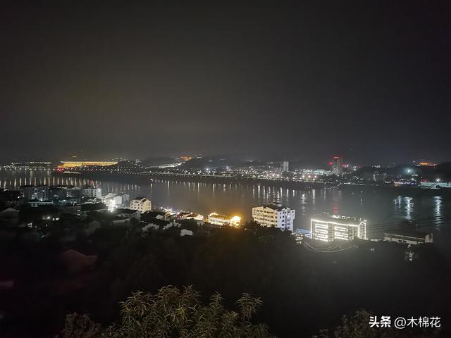 携宠出行第三天