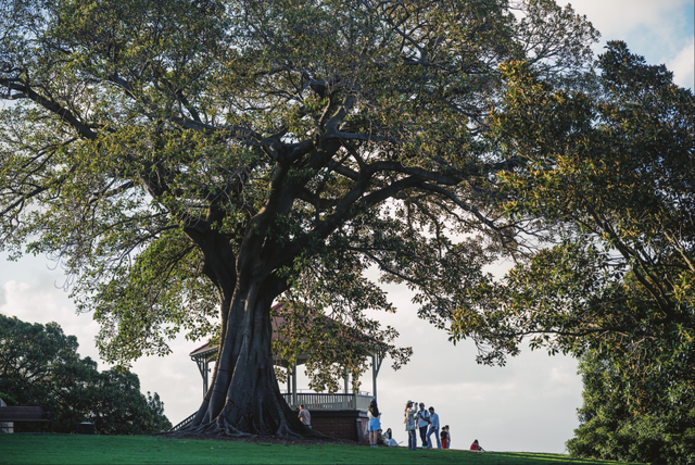 今年冬天，我想去这里过夏天