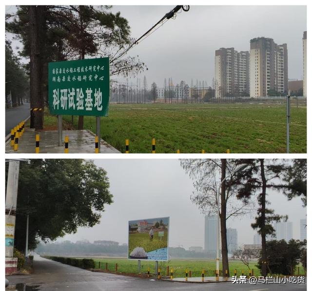湖南长沙周边游，这些小众景点，等您探秘！