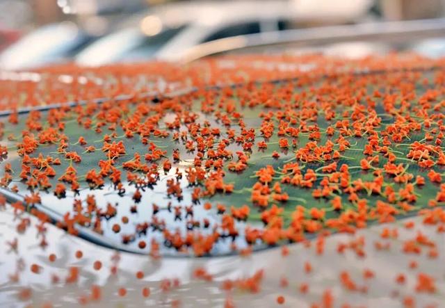 向全萧山人道歉！“上班”迟到了！