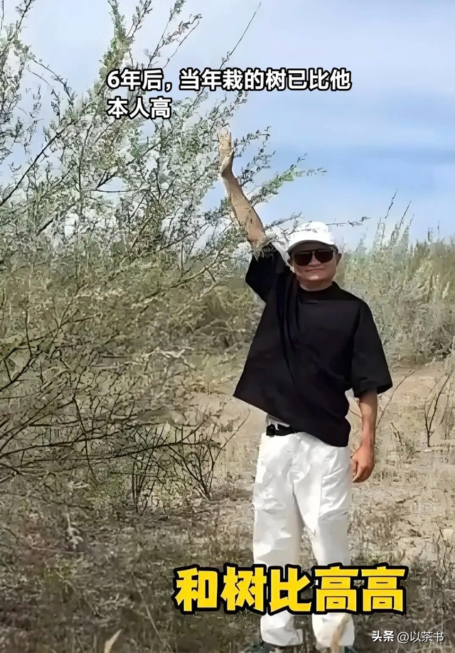 9年过去了，承诺每年在沙漠里种1亿棵树的马云，如今他做到了吗？