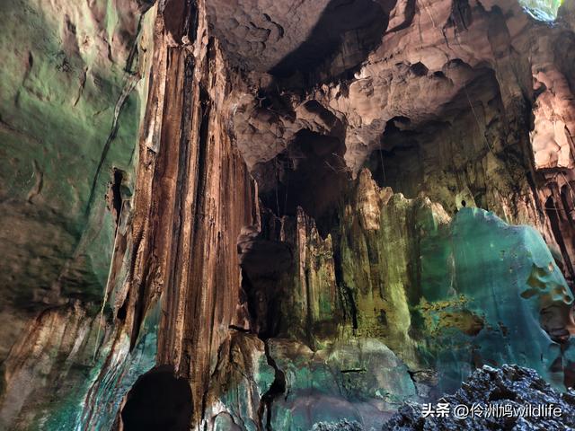 马来西亚(32)砂拉越州⑥世界遗产尼亚洞窟探险