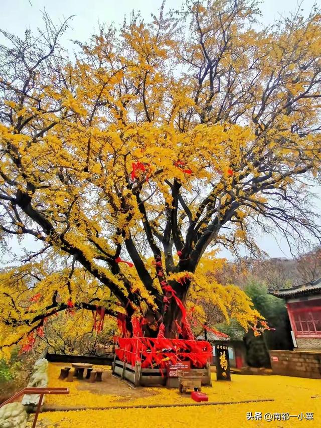 山东威海，四大古观
