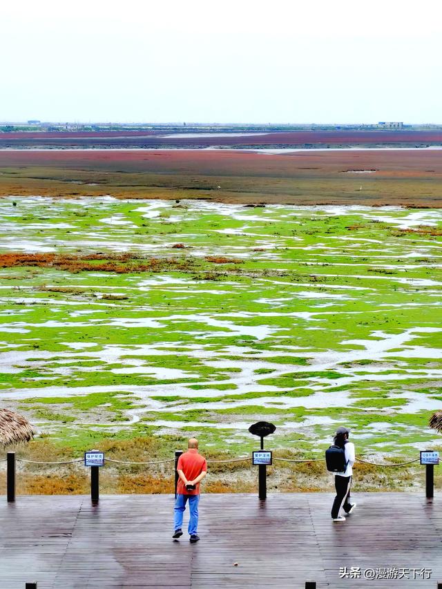 分享一个免费的红海滩，景色一点不差盘锦红海滩，