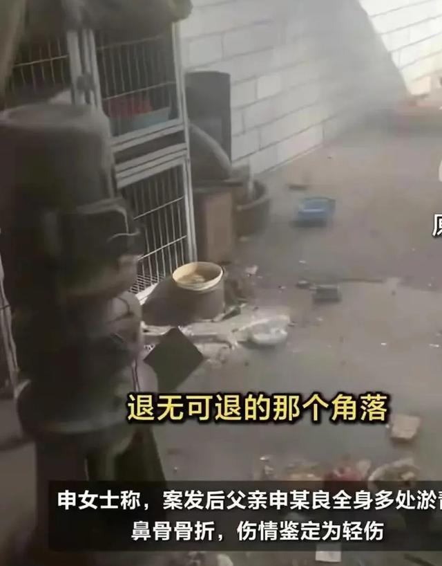 申家儿子事发为何不在家？狗咬人事件新细节：原告说等着打架电话