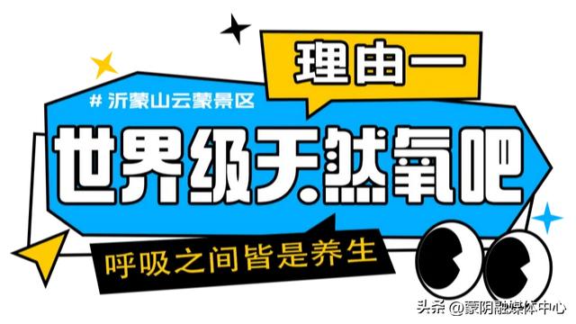 喜报！沂蒙山云蒙景区荣登携程2025必打卡景点榜！