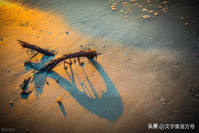 建议收藏：下次旅行配图文案，直接来这里抄！