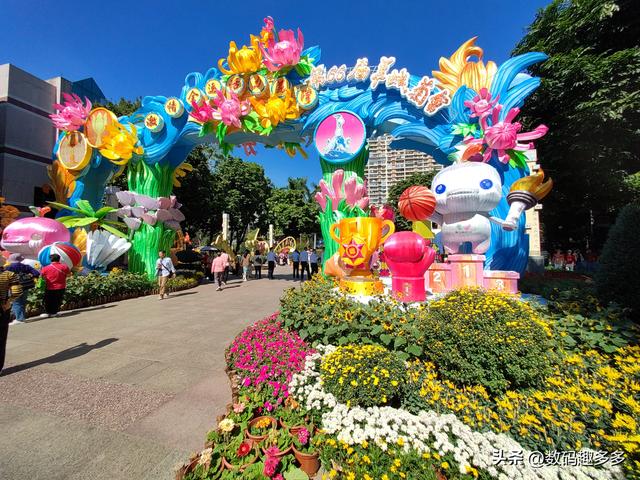 广州66届羊城菊花展，快来看打卡攻略