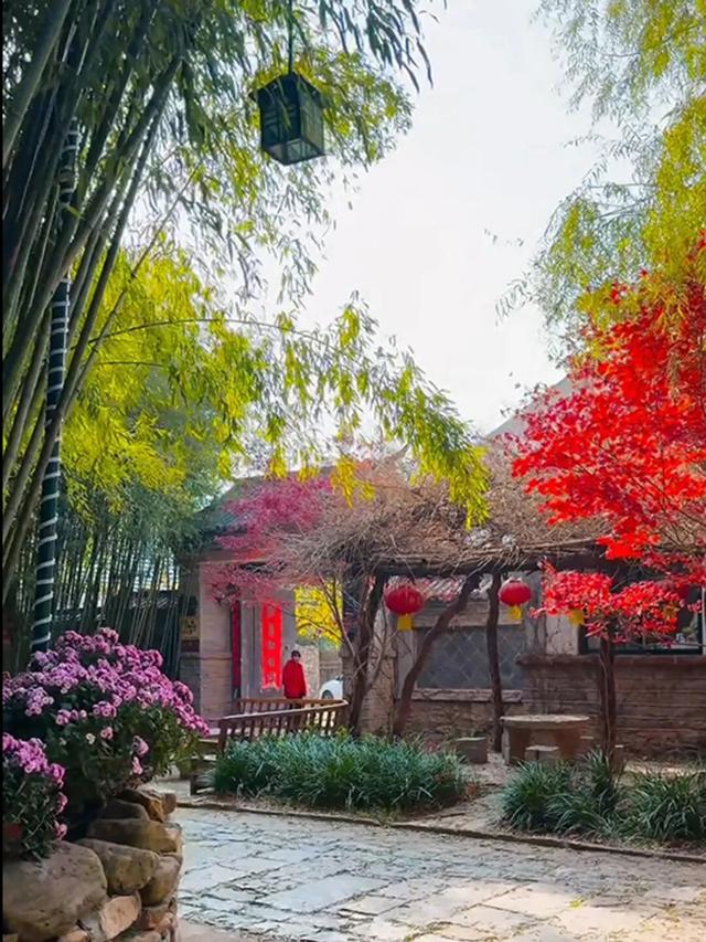 临沂「红杉」「红枫」浓度拉满，出片率100%