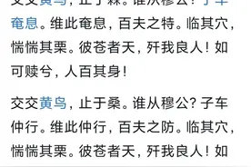 鸟人的由来图片