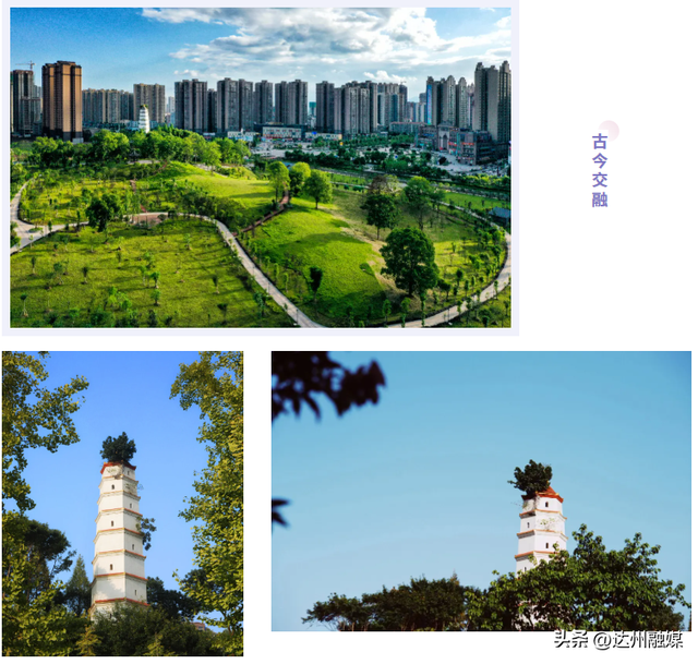 渝来蜀往，大美竹乡