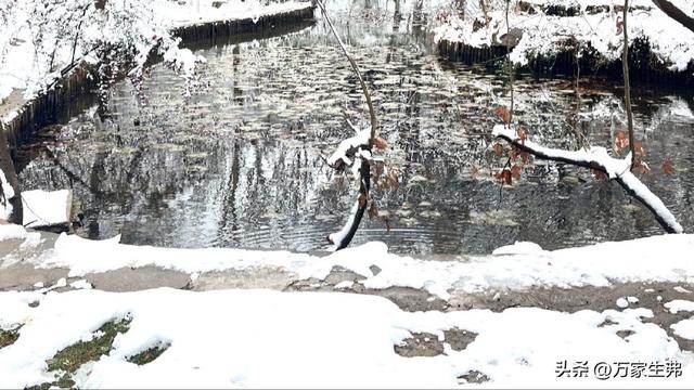 南京又双叒下雪了！江北飘雪城南听雨，"偏心雪"藏着老城南的浪漫