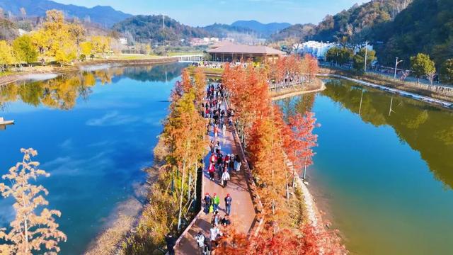 银杏谷旅游度假区缘何火爆出圈？