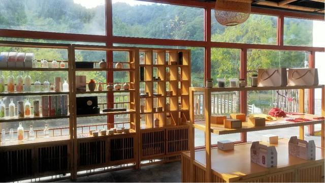 雪白冬日氛围感拉满！从化桂峰、莲麻李花节上线，吃喝玩乐一站畅玩